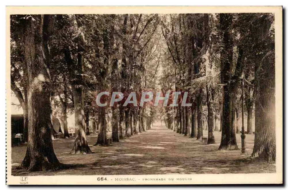 Moissac - Passeio do Moinho — editor Lalouche Frères, n° 664 - Frente
