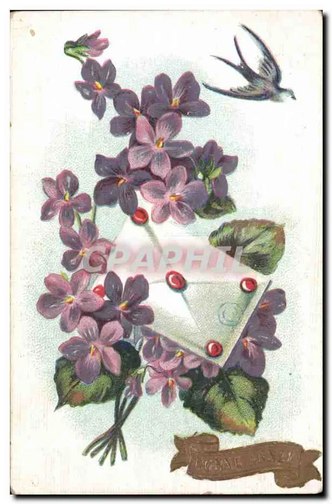 Violets und Schwalbe — Verlag: POME PARIS — Seriennummer: 21 - Vorderseite