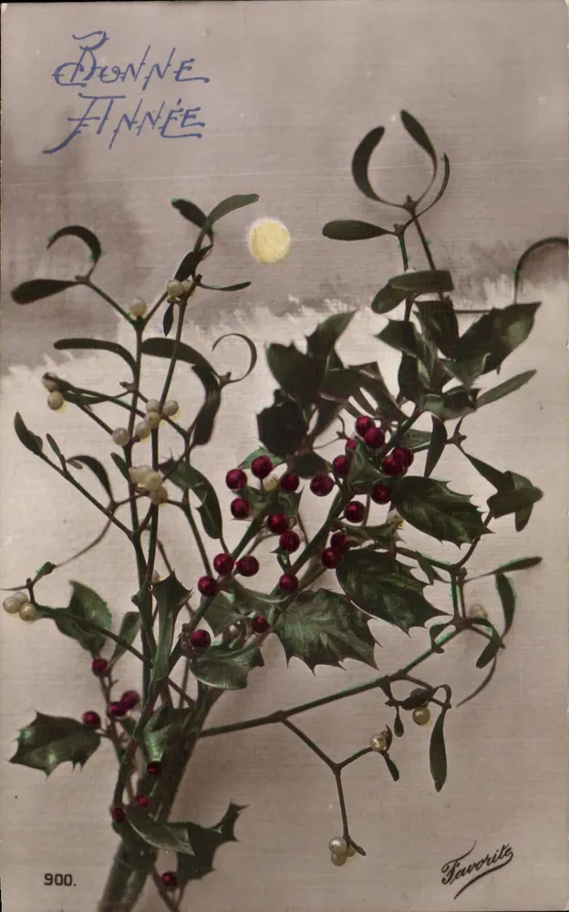 Hollibüschel — Weihnachtskarte — Favorite, n° 900 - Vorderseite
