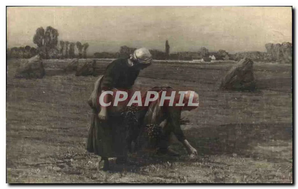 Deux femmes cueillant des fruits dans un champ — Albert Thomas — n° 6683 - Recto
