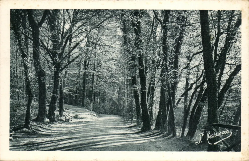 Dante-Allee — Bagnoles-de-l'Orne — P. Lorvaiseur - Vorderseite