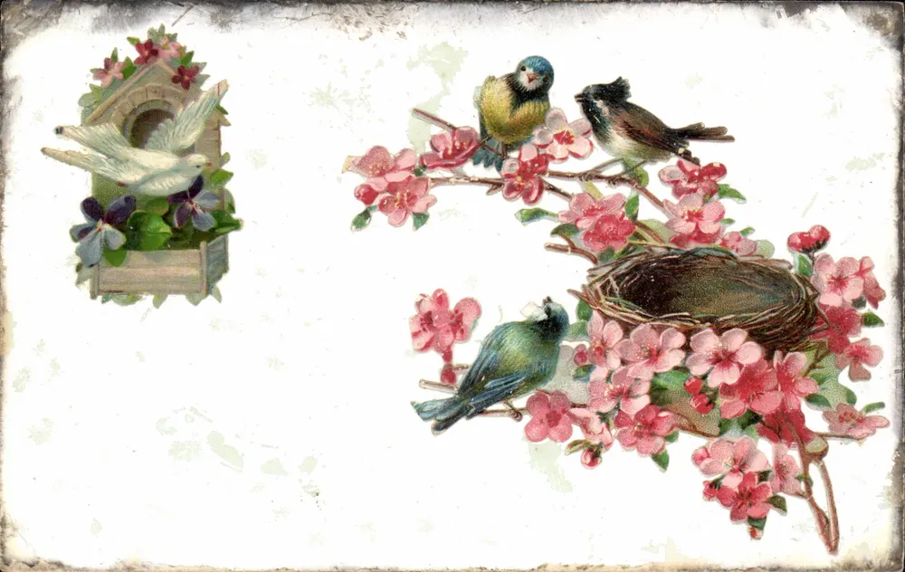 Pássaros e flores — cena de primavera — editor não visível - Frente