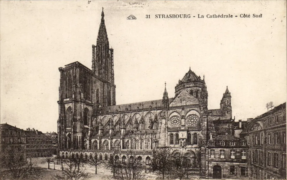 Strasbourg - A Catedral - Lado Sul — editor desconhecido, n° 31 - Frente