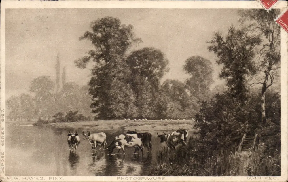 Vacas ao lado de uma lagoa — F.W. Hayes, Pinx. — Fotogravura, série G.M.B. F.E.C. - Frente