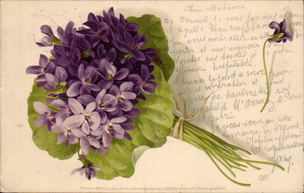Bouquet de violettes — Meissner & Buch, Leipzig, Série 1210 — 'Violettes' — editor e número de série legíveis - Frente