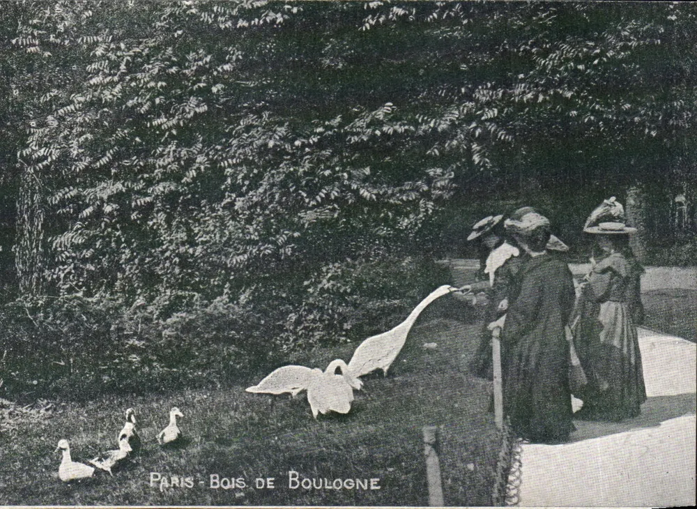 Paris - Bois de Boulogne — mulheres alimentando cisnes — editor não identificado - Frente