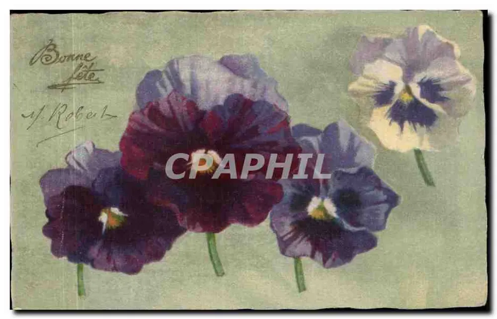 Pansies — Boa festa — J. Robert - Frente