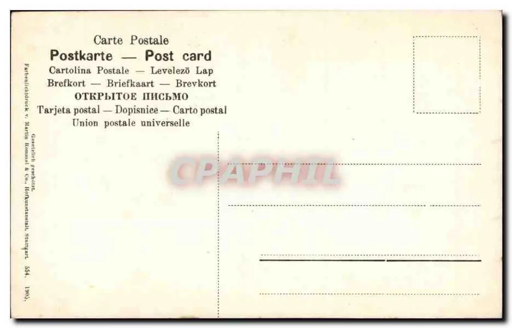 Houx de Corse — ilustracja botaniczna — n° 354 - Rewers