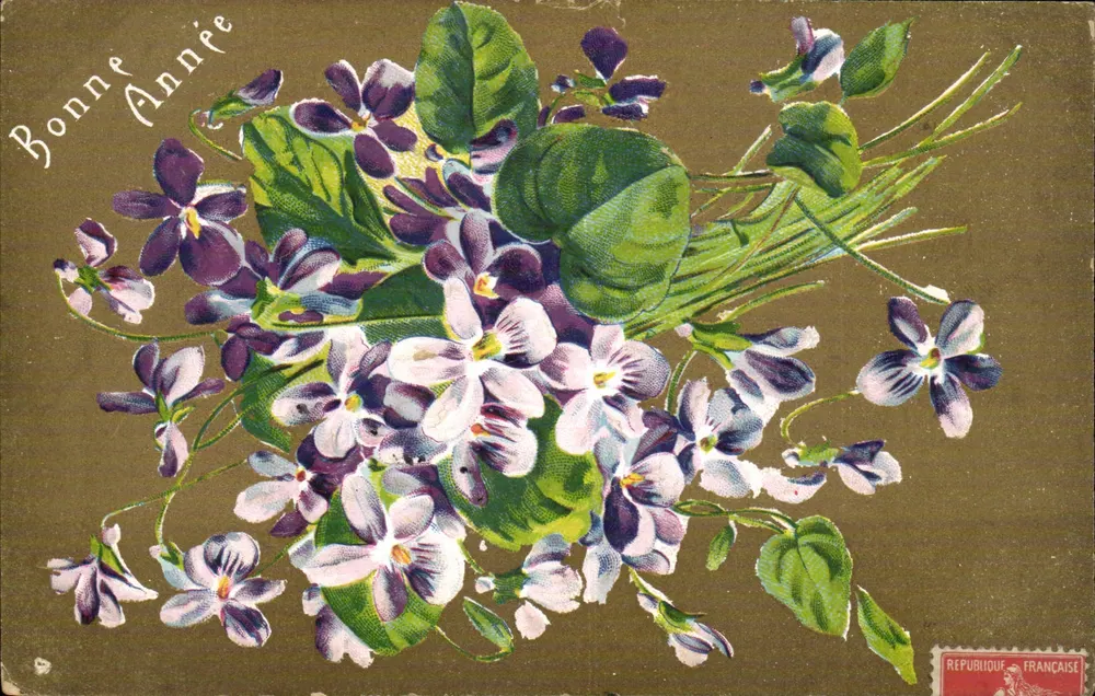 Büschel Violets — Frohe Neujahr — Französische Republik - Vorderseite