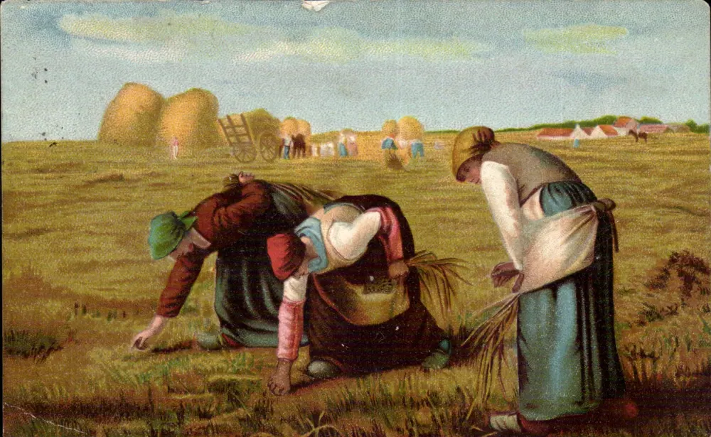 Colheita de trigo — Cena de colheita — R.F. editor Paris, Série 884 - Frente