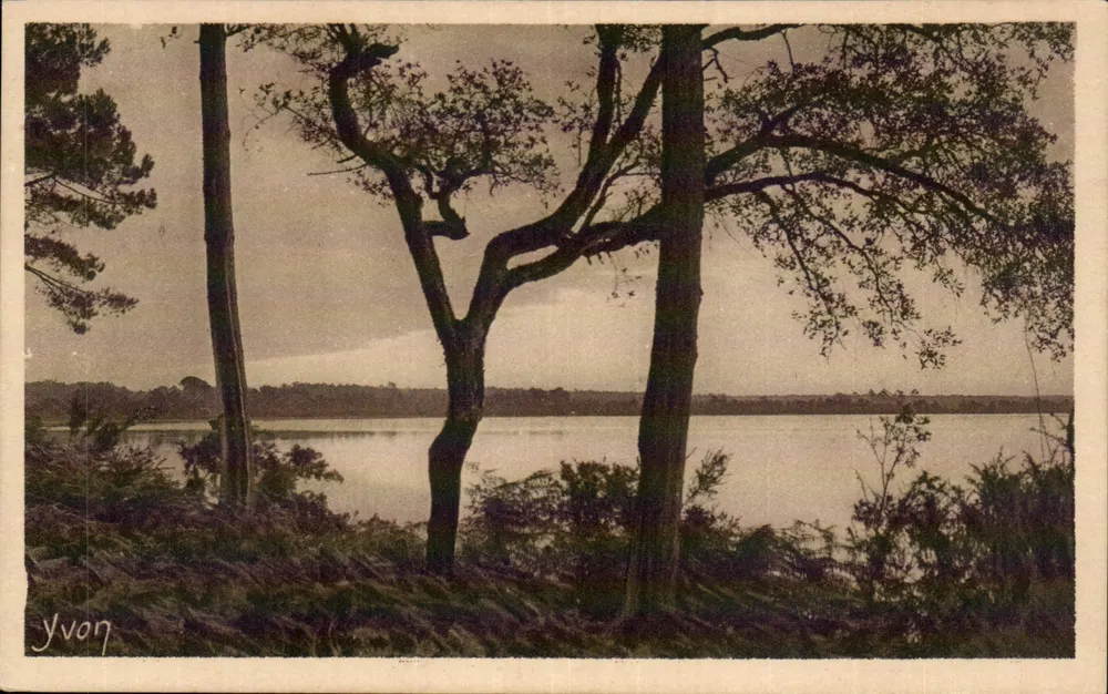 L'Etang Blanc in der Nähe von Dax — Les Landes de Gascogne — Kunstausgabe YVON - Vorderseite