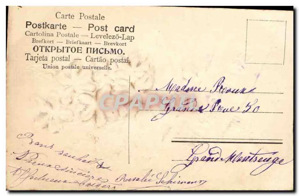Violette Blüten — Guten Jahreswunsch — unbekannter Verlag, Seriennummer nicht sichtbar - Rückseite