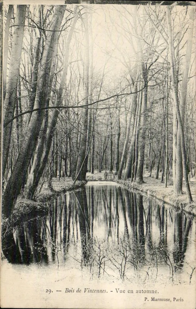 Bois de Vincennes — Ansicht im Herbst — P. Marmuse, Paris - Vorderseite