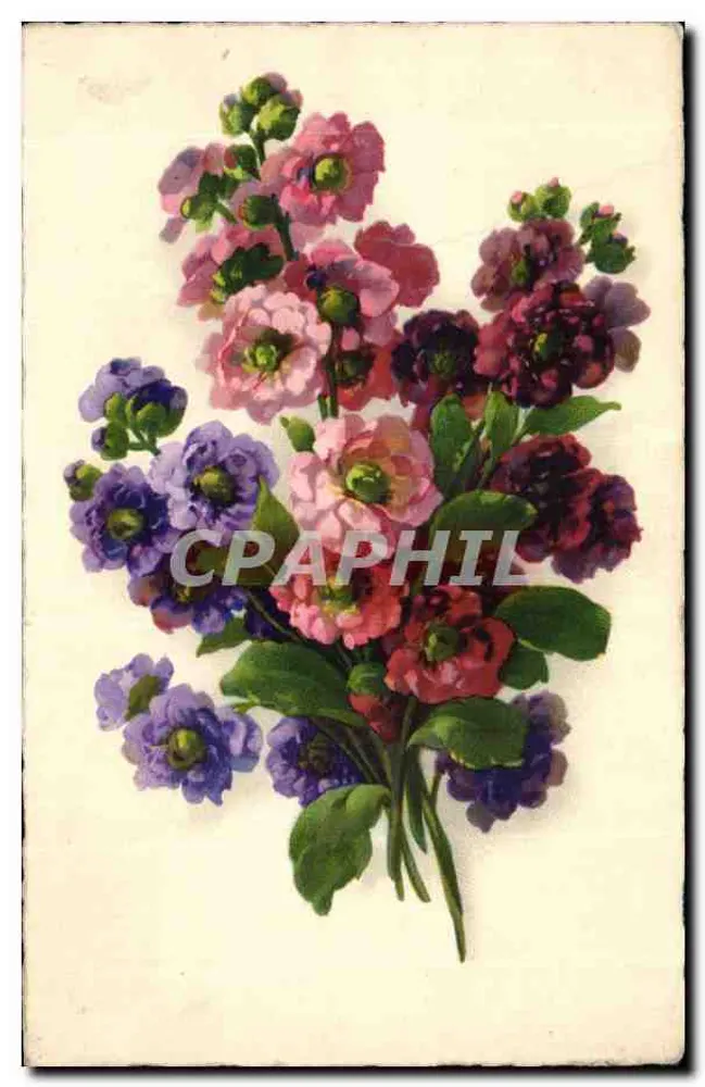 Bouquet farbiger Blumen — unbekannter Verlag, Nr. 3067 - Vorderseite