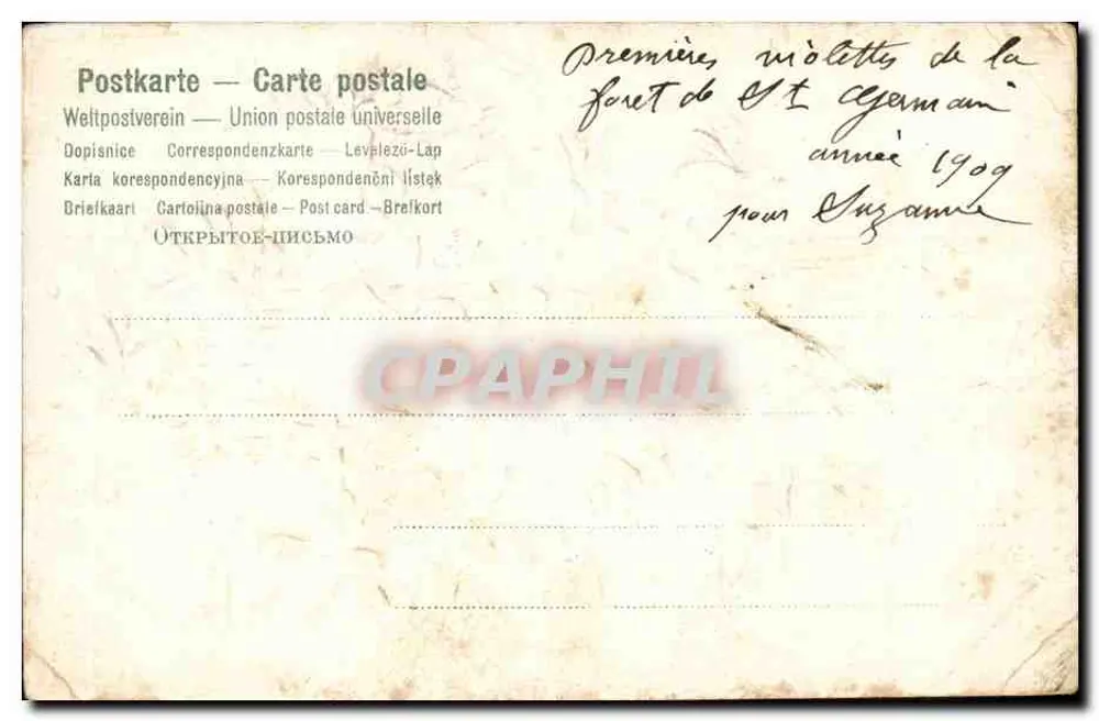 Violetas em um cesto — desenho assinado 'Odine' — editor Odine - Verso