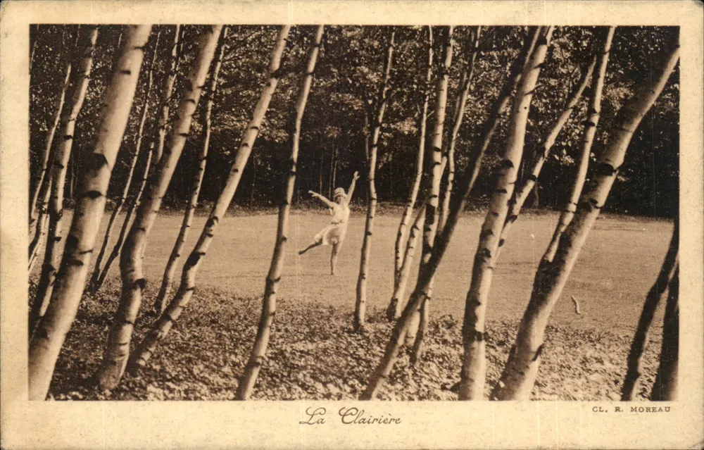 La Clairière — Forêt d'arbres à écorce blanche — CL. R. MOREAU - Recto
