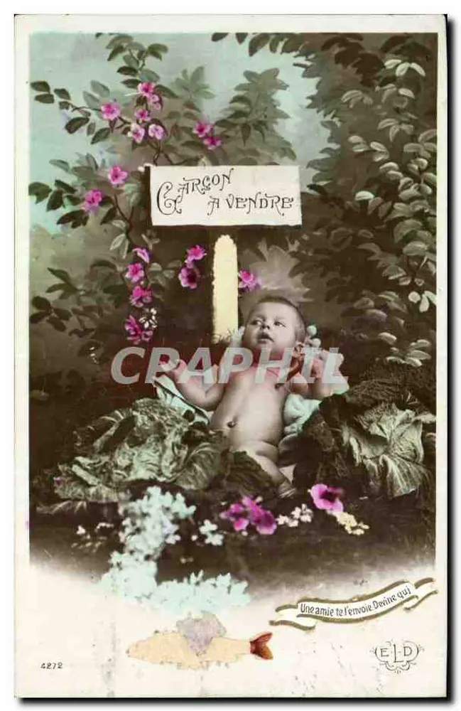Baby sitzt unter Gemüse — 'CARCON À VENDRE' — ELD, n° 4272 - Vorderseite