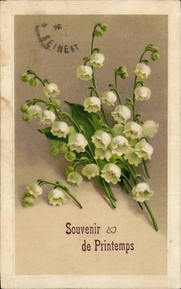 Lilie der Schlucht — Erinnerung an den Frühling — N. Seineet - Vorderseite