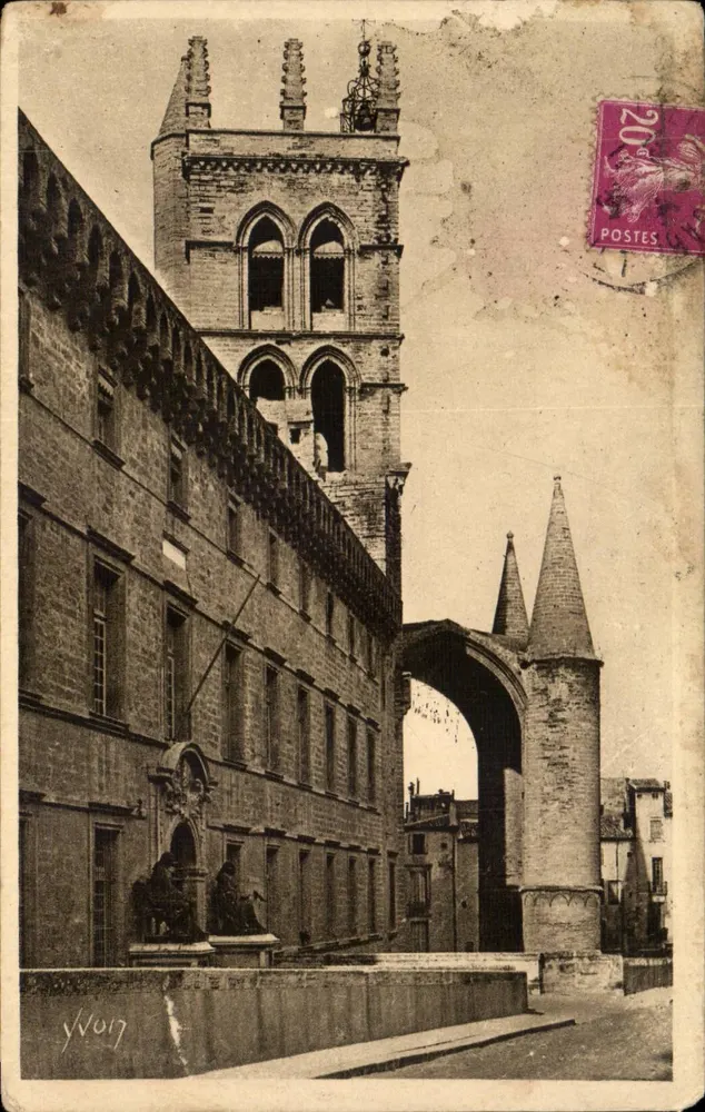 Montpellier — Die Medizinische Fakultät und die Kathedrale Saint-Pierre — Éditions d'Art Yvon, Nr. 20 - Vorderseite