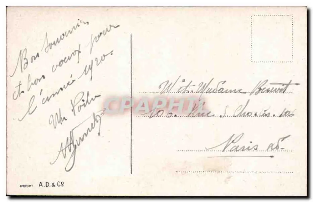 Blütenstrauß — Frohes Neues Jahr 1920 — A.D. & Co - Rückseite