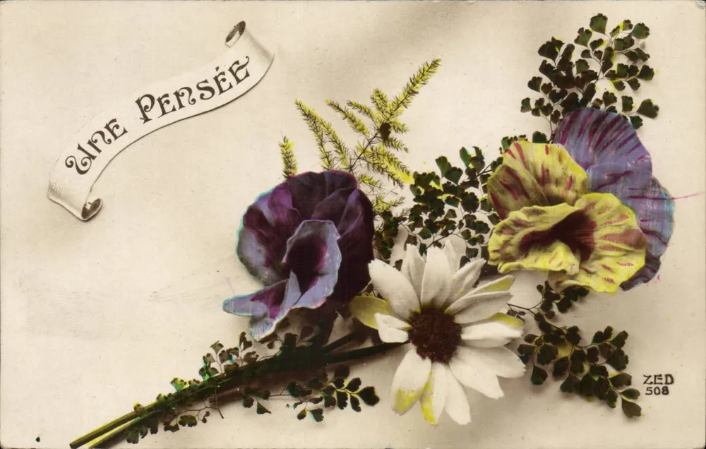 Bouquet van bloemen — Een Pensée — ZED 508 - Voorkant