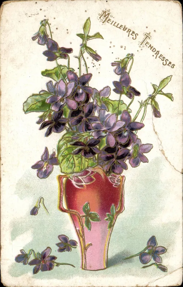 Violets dans un vase — illustration colorée — éditeur G.R. (verso) - Vorderseite