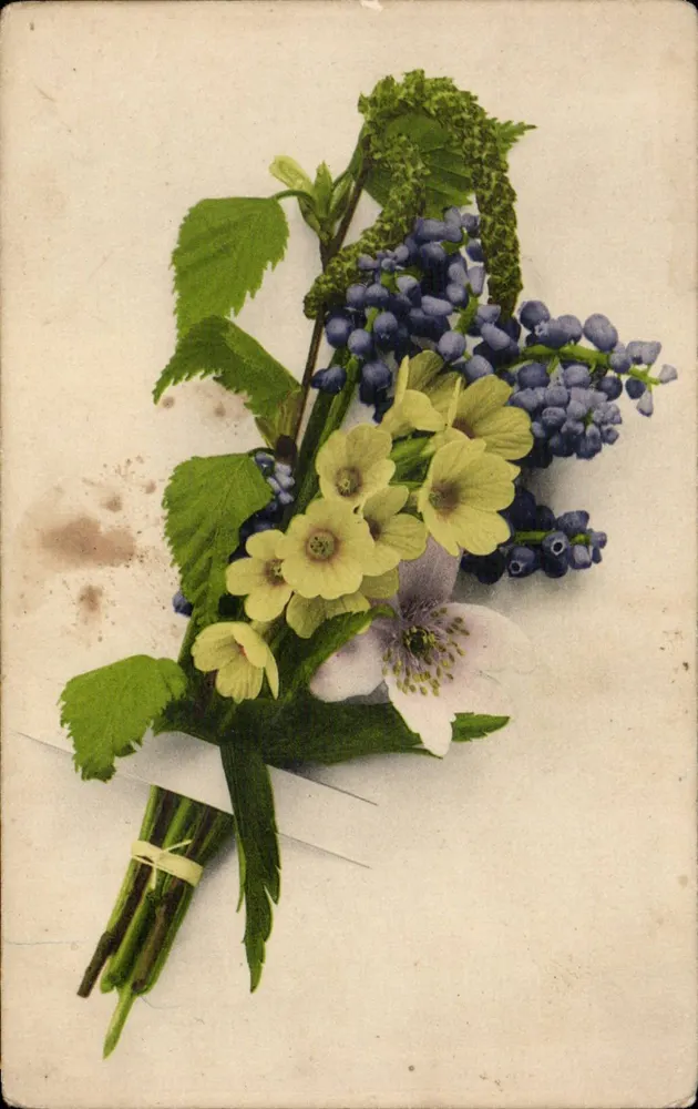 Bouquet bloemen — botanische illustratie — uitgever Martin Rommel & Co. n° 4017 - Voorkant