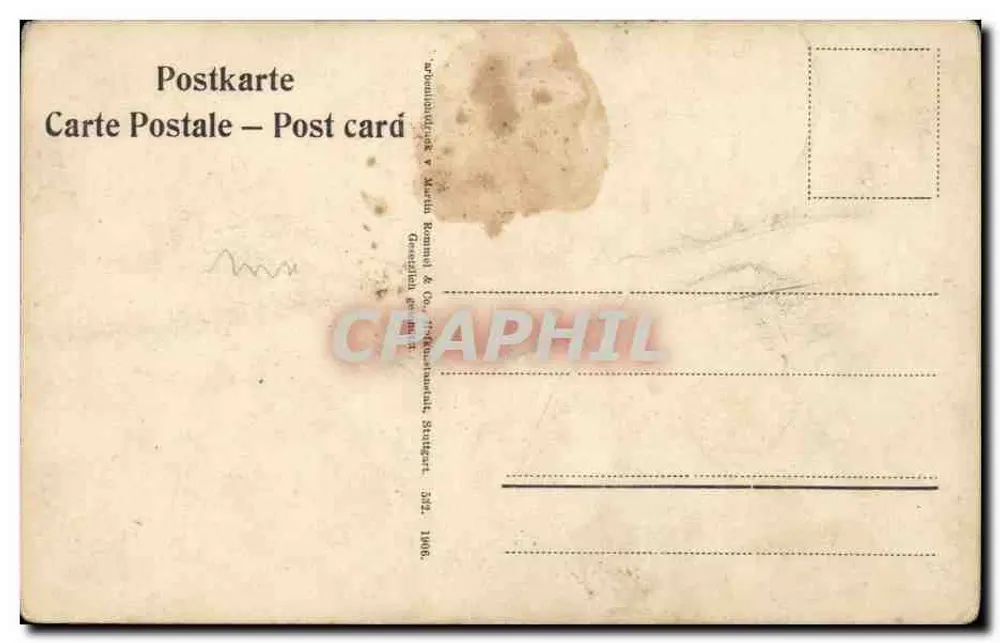 Flores de viorne branca — edição Martin Rommel & Co. — série 332, 1906 - Verso