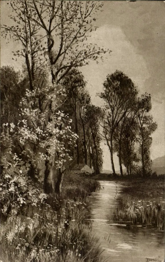 Paisagem fluvial — margem de água com árvores em flor — Lepogravura n°1036 - Frente