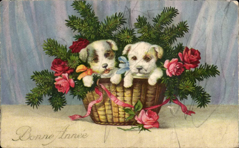 Zwei Welpen in einem Korb — Dekoration aus Tannen und Rosen — Grußkarte - Vorderseite