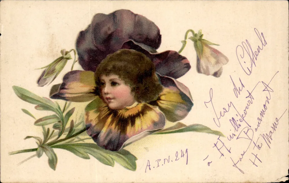 Kind in einer Blume — A.P.N. 249 — Verlag A.P.N. - Vorderseite