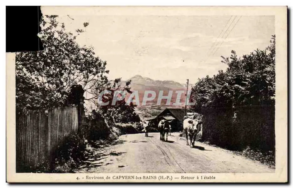 Entornos de CAPVERN-les-BAINS (H.-P.) — Regreso al establo - Anverso
