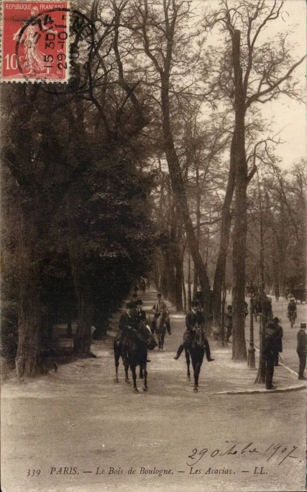 Paris — Der Bois de Boulogne — Les Acacias — LL. — n° 339 - Vorderseite