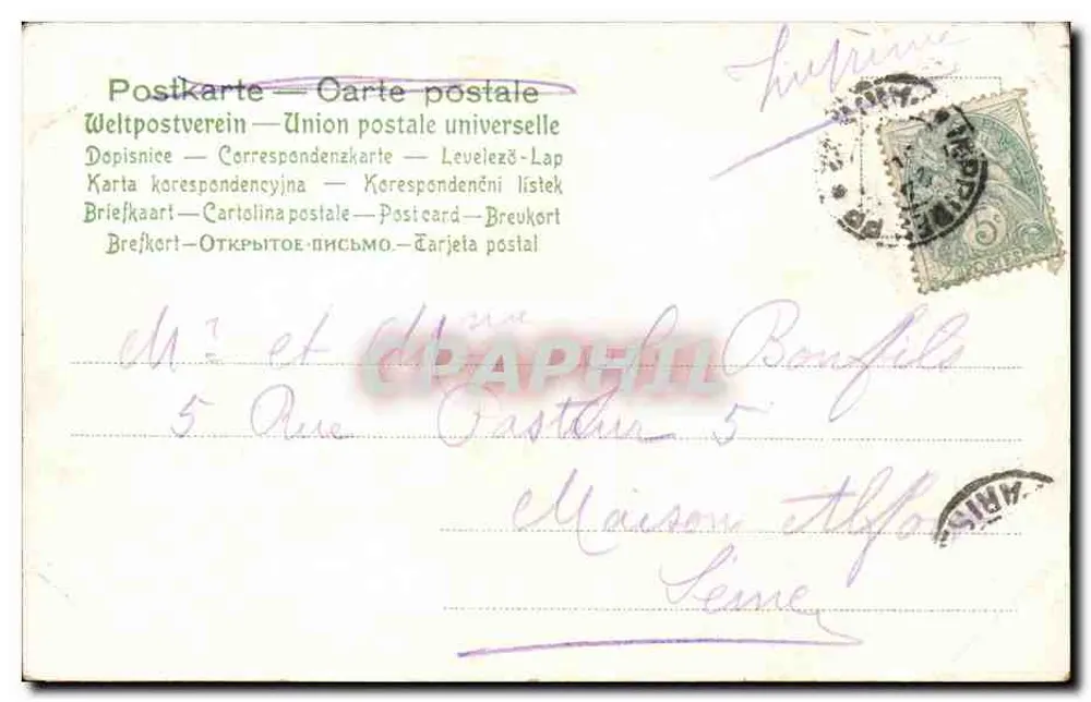 Dois pássaros em um arbusto de artemísia — editor desconhecido, n° 797 - Verso