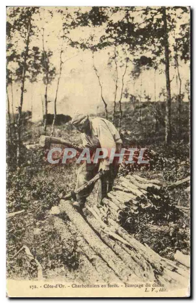 Kohlenbrenner im Wald — Rindenabbrennen eines Eichbaums — L. V., Verlag - Vorderseite