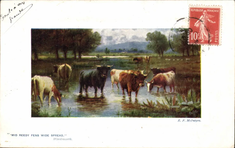 Bois nos pântanos — 'Mid Reedy Fens Wide Spread.' — R. F. McIntyre - Frente