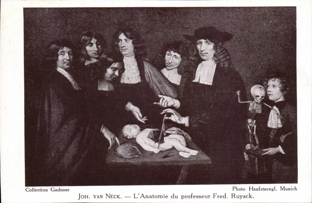 Die Anatomie des Professors Fred. Ruysck — Joh. van Neck — Photo Hanfstaengl, München - Vorderseite