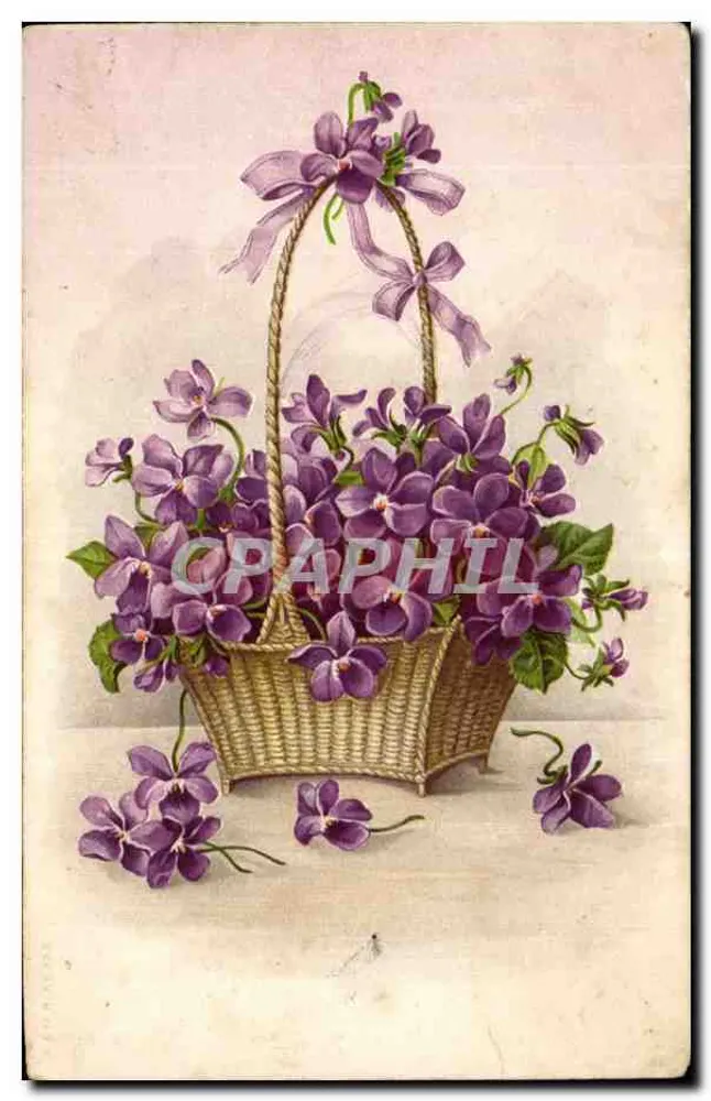 Arranjo de violetas em um cesto — editor não visível - Frente