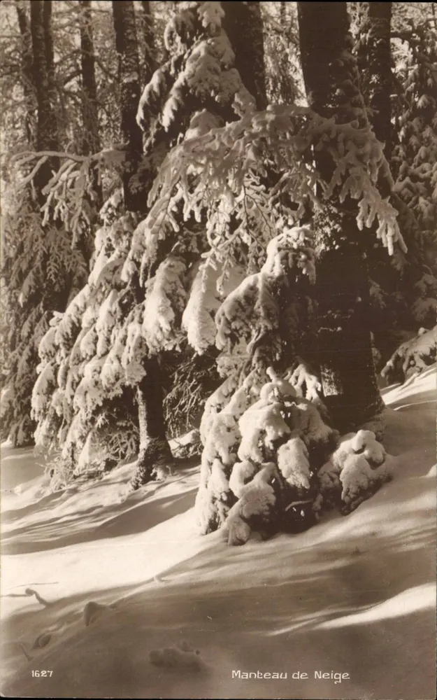 Schneedecke — Schneeverhüllter Wald — Éditions Art Ferrochet & David, La Chaix-des-Fonds, n°1627 - Vorderseite