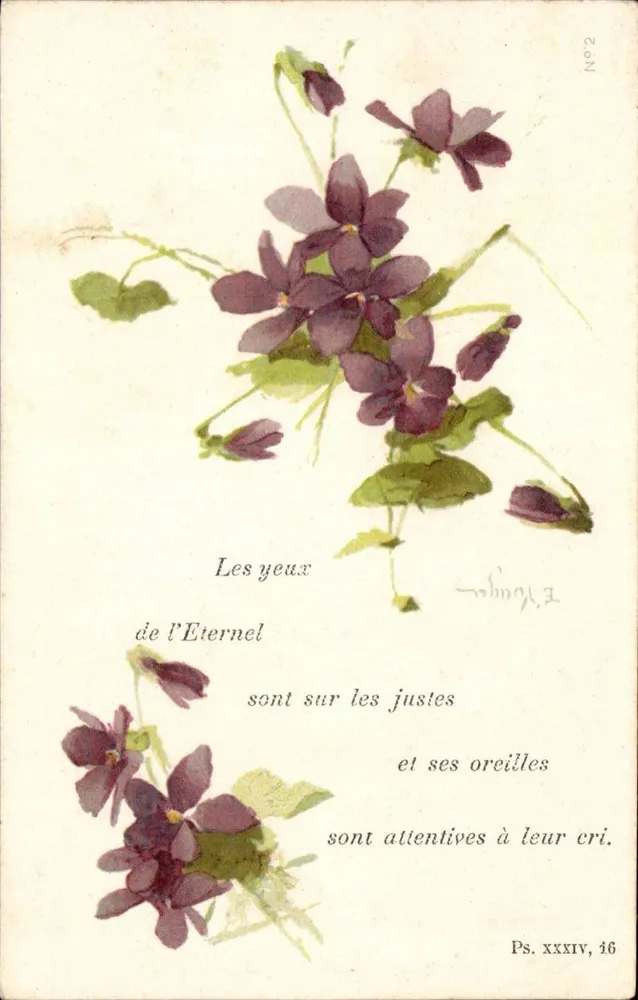 Violetten — De ogen van de Eeuwige — E. Flouger, N°2 - Voorkant
