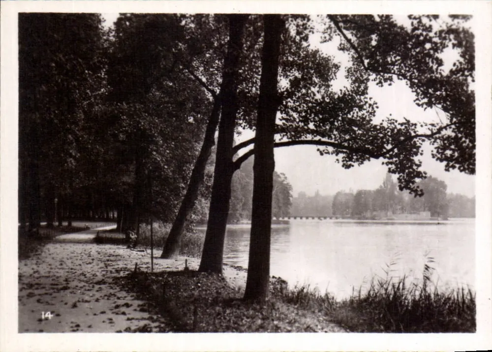 Visão de lago cercado por árvores — série 14 - Frente