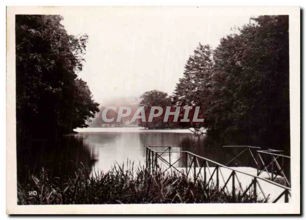 Vista de um lago cercado por floresta — pontão metálico — série 20 - Frente