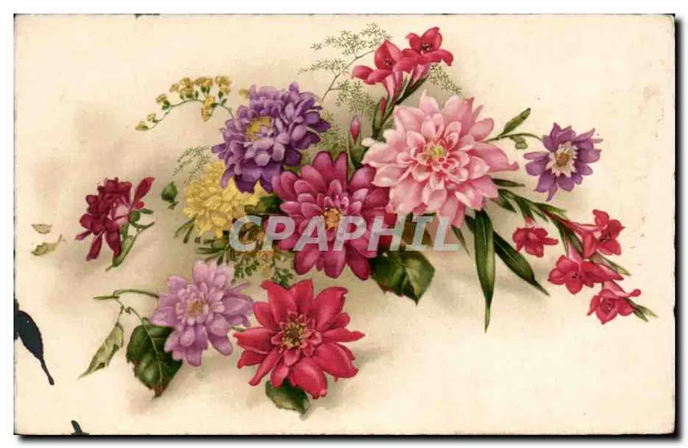 Arranjo de flores — ilustração colorida — editor desconhecido - Frente