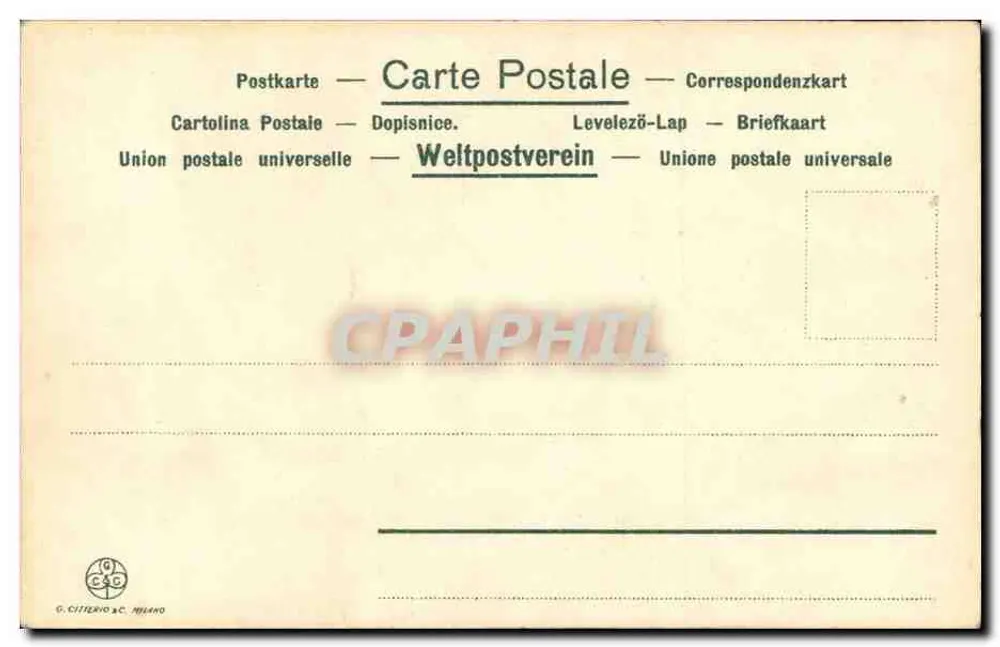 ईरिस — छाया वाली बैंगनी फूल और काले धब्बे — G. Cisterio & C. Milano, संख्या 65 bis - पीछे