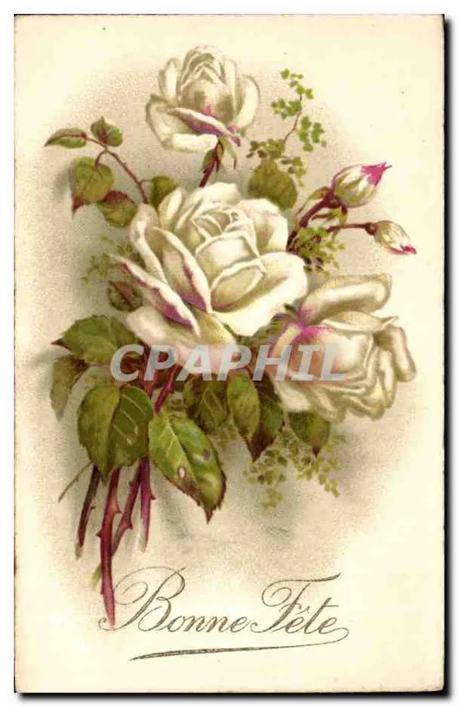 Blumenstrauß aus weißen Rosen — Frohe Geburtstagskarte — Verlag nicht sichtbar - Vorderseite