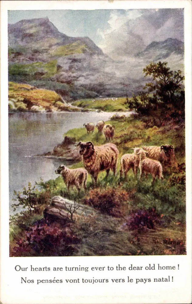 Schapen in een berglandschap — antieke ansichtkaart Artéistique n°1692, uitgegeven door Inter-Leaf Co., Londen - Voorkant