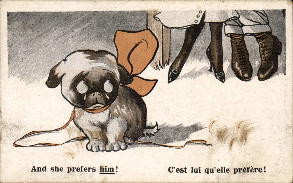 Hund - Pug - Vorliebe für Frauen — Inter-Art Co., Florence House, Barnes, London, COMIQUE-Serie, Nr. 484 - Vorderseite