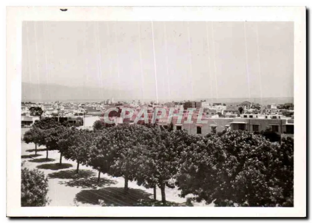 Vista geral — cidade com avenida de árvores - Frente