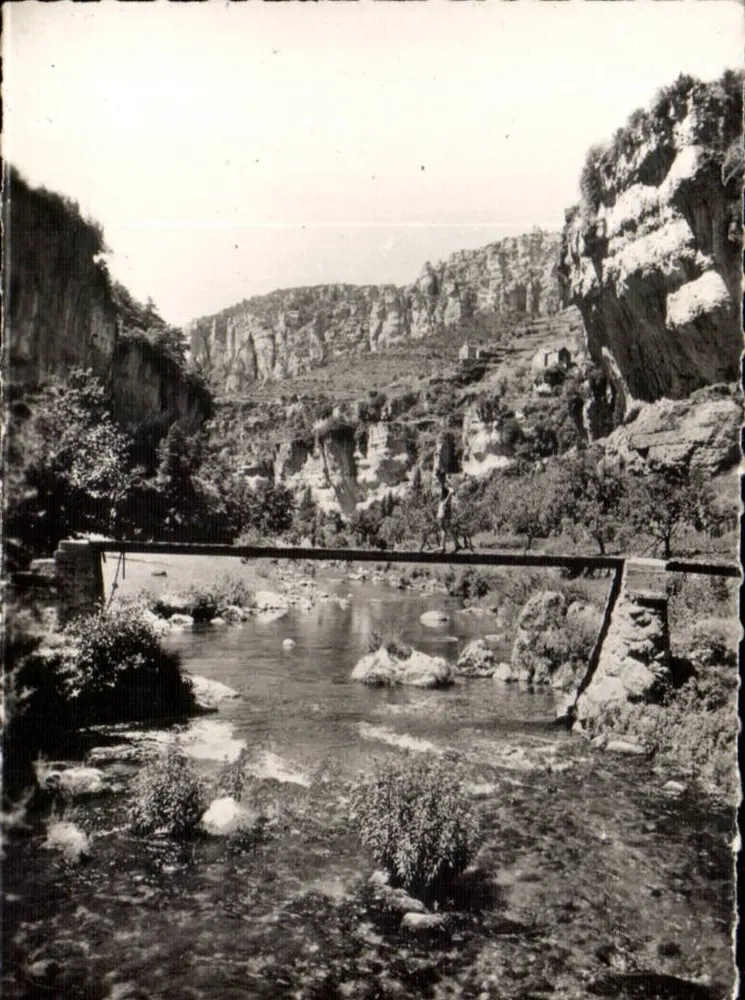 Gorges de la Jonte — Truel und Belvédère des Terrasses — Verlag FLOR, Nr. 7743 - Vorderseite