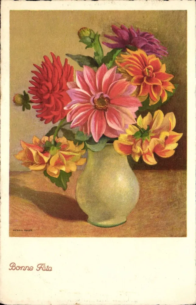 डेलिया का बूंदा — शुभकामना — एंटोनिए मुलर, संख्या 9187, वरलैग मैक्स कुंजली, ज़ुरिख - आगे